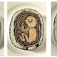 Illustration for article titled Scientific Sushi Art Is The Best Sushi Art